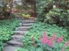 Pathway view (small)